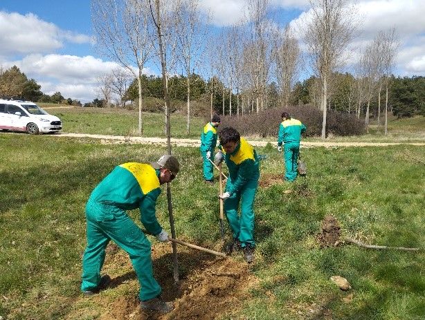Grupo de personas plantando árboles en Monte San Isidro