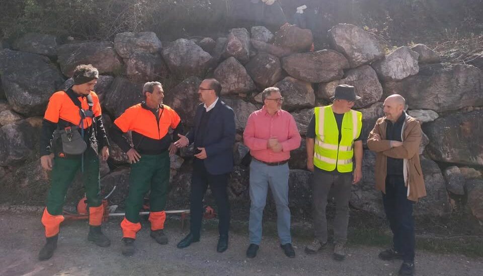 Grupo de personas trabajando en la limpieza de vegetación en Ponferrada