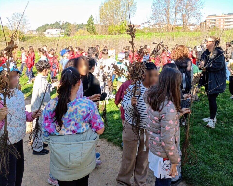 Escolares sosteniendo robles autóctonos en un evento de plantación