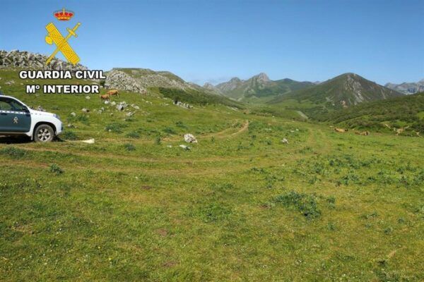 Vista de la Sierra de Ancares con ganado en pastos privados