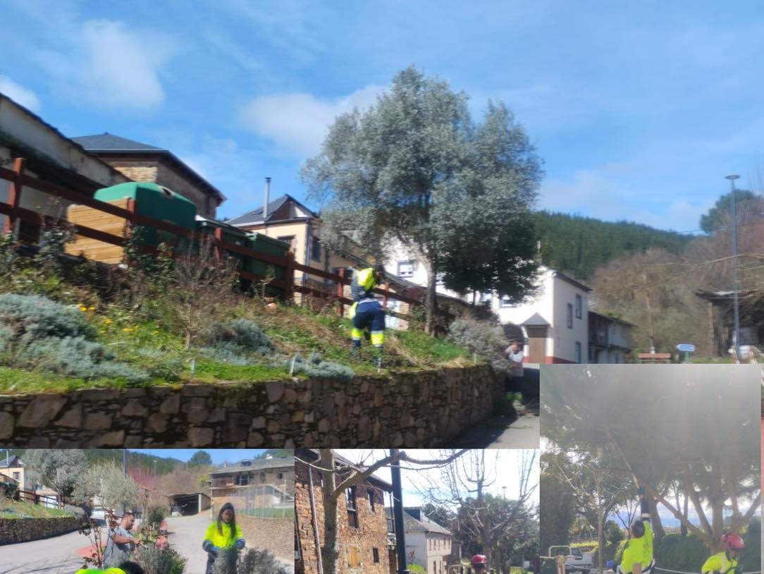 Participantes del taller de empleo realizando mantenimiento en jardines y viñedos