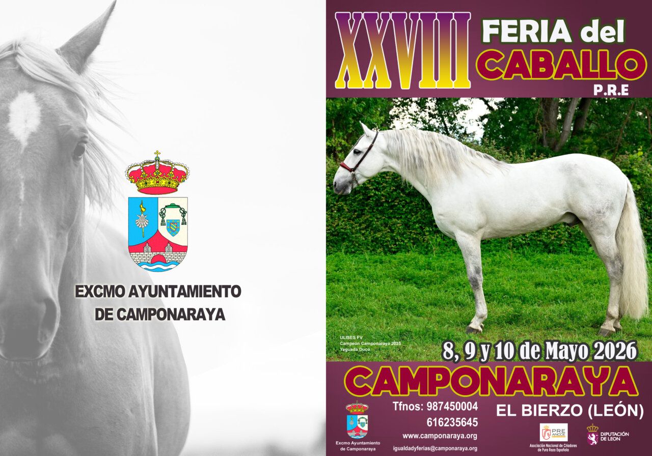Caballo de pura raza española en la Feria del Caballo de Camponaraya