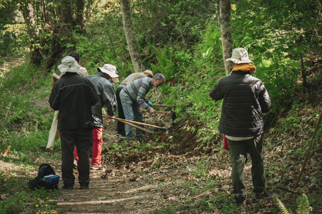 Grupo de voluntarios trabajando en el Soto de Villar de los Barrios