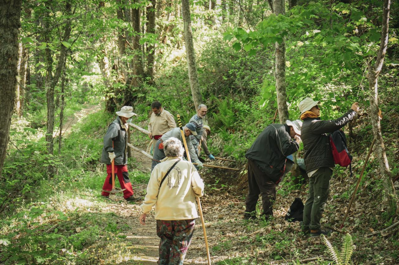 Grupo de voluntarios trabajando en el Soto de Villar de los Barrios