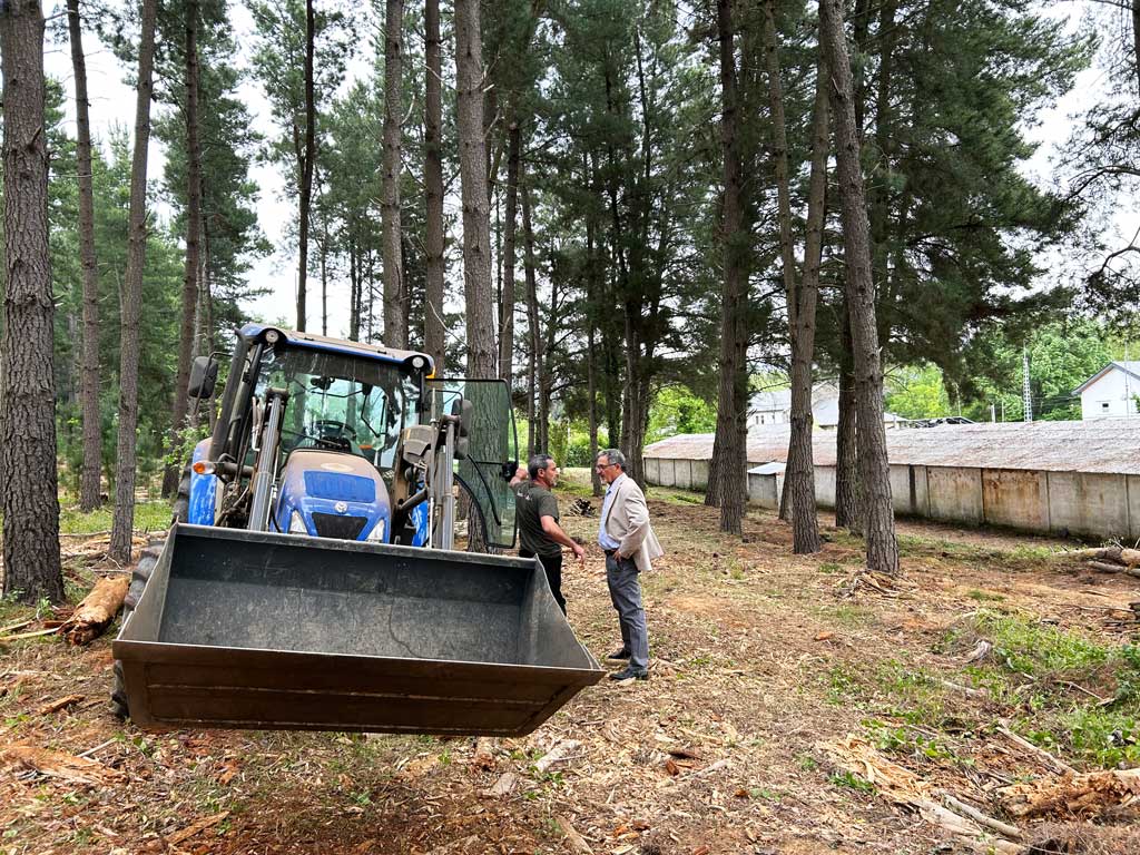 Operarios trabajando en el pinar de Compostilla con maquinaria pesada