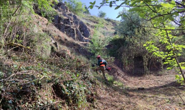 Trabajos de desbroce en el medio rural para prevenir incendios