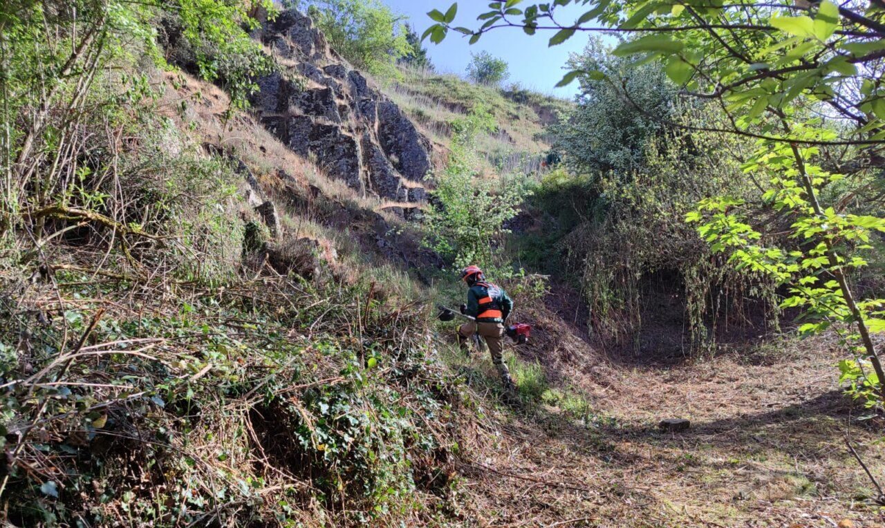 Trabajos de desbroce en el medio rural para prevenir incendios