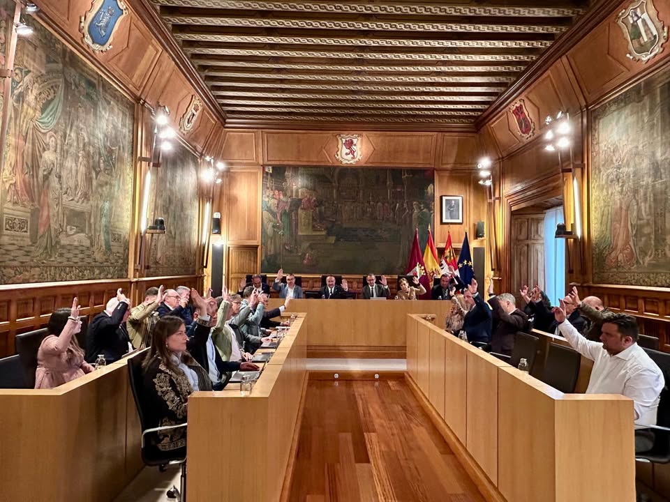 Pleno extraordinario de la Diputación de León con votación alzada