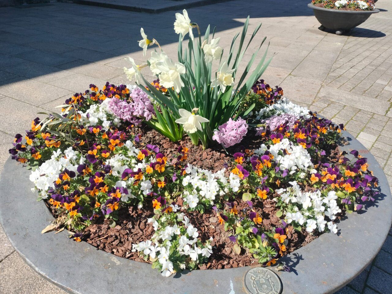 Medallones de flores en un espacio urbano de Ponferrada
