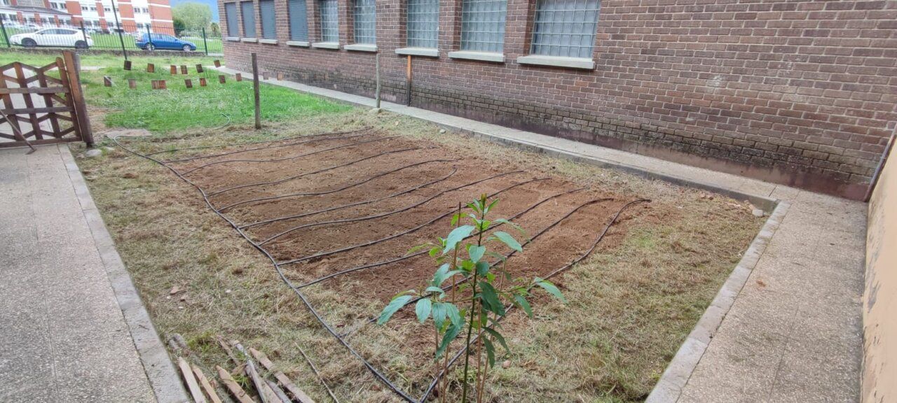 Huerto escolar en La Cogolla con tierra preparada y plantas.