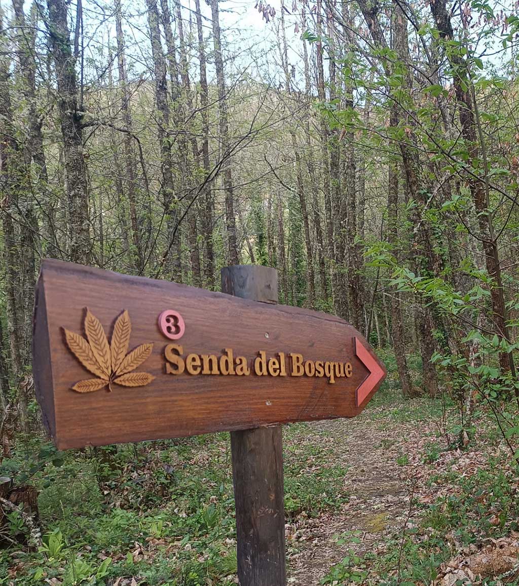 Señal de la Senda del Bosque en un entorno natural