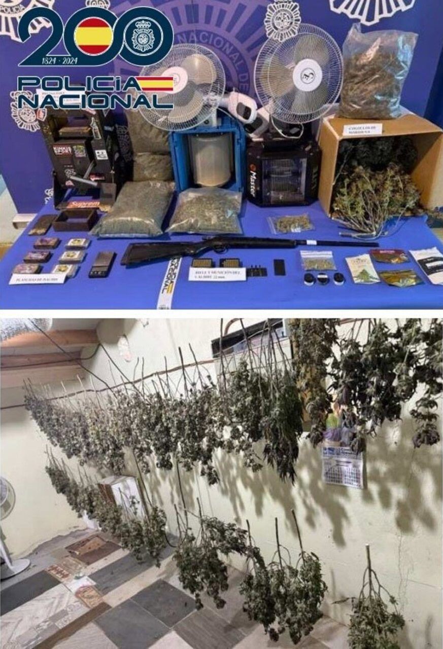 Material incautado en un laboratorio de marihuana desmantelado por la policía