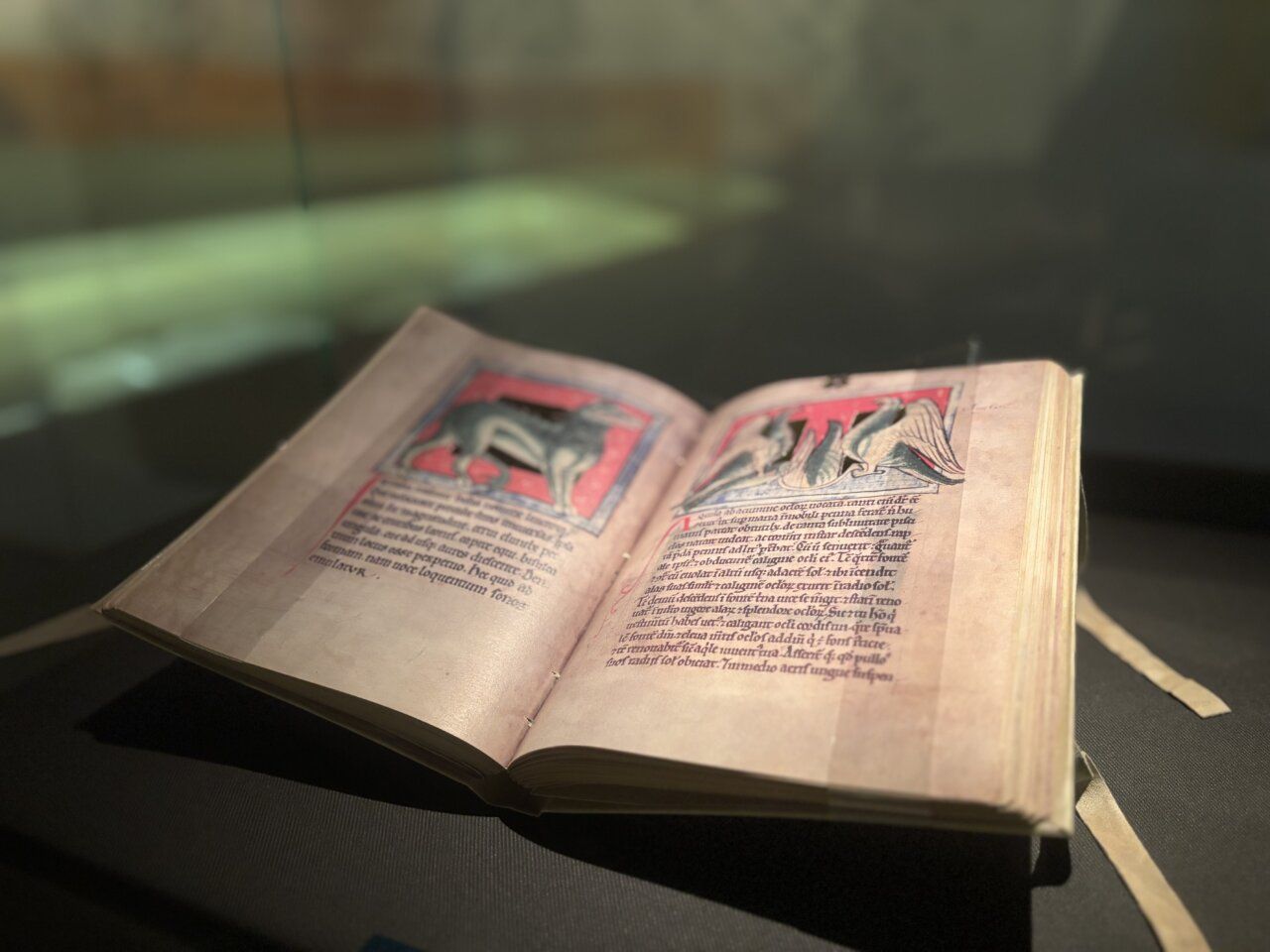 Libro antiguo abierto con ilustraciones en una exposición cultural