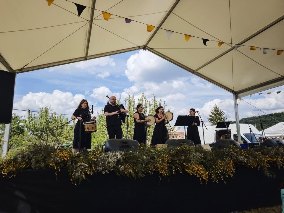 Grupo de músicos en un festival cultural al aire libre