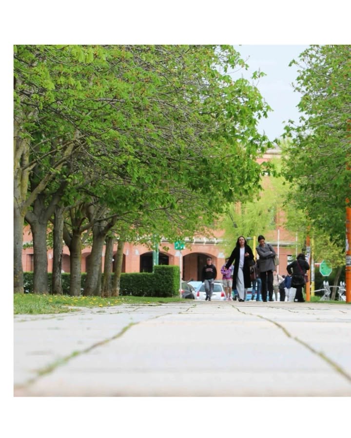 Estudiantes caminando por un sendero en la Universidad de León.