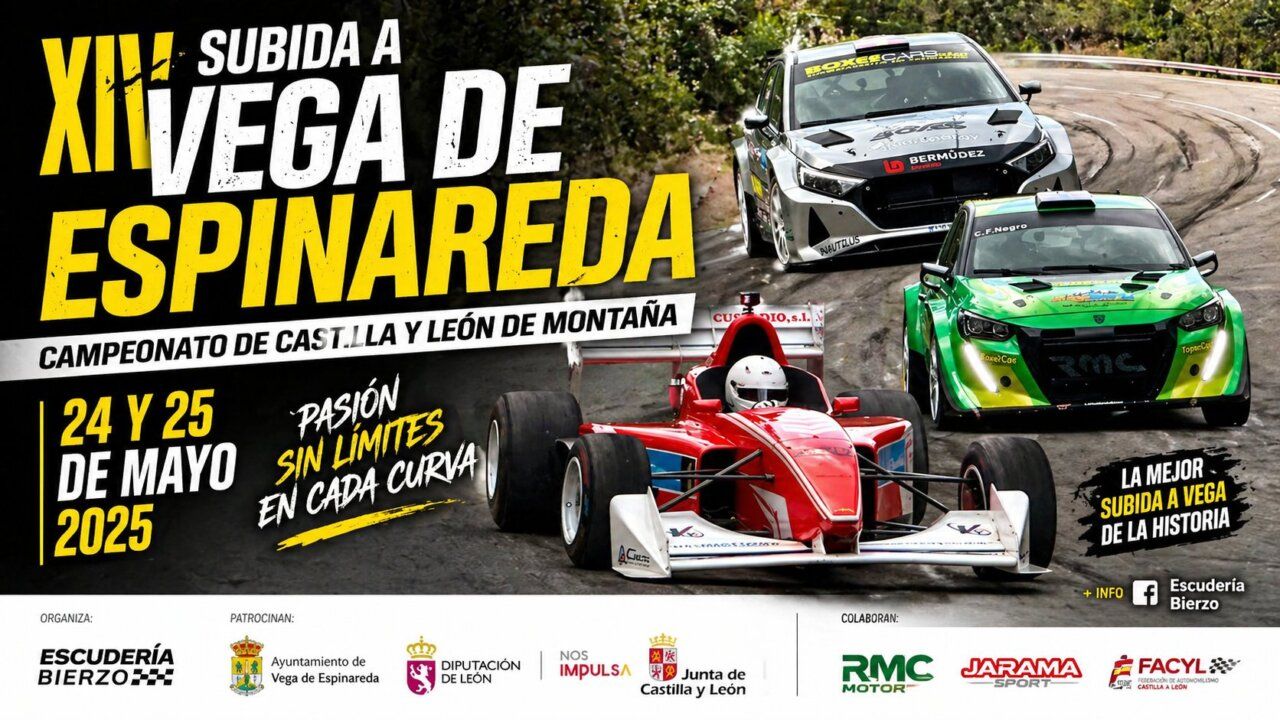 Coches de competición en la XIV Subida a Vega de Espinareda