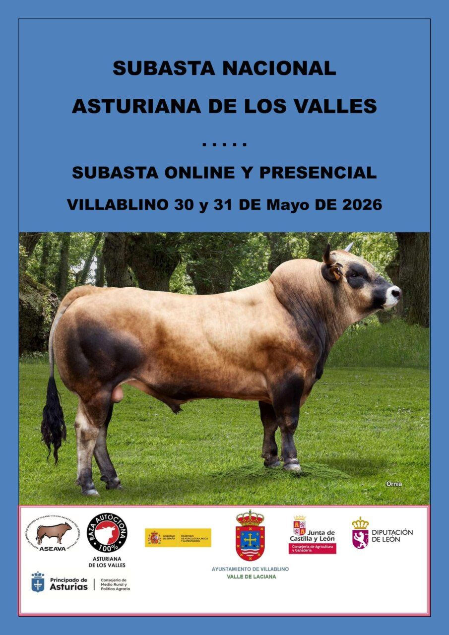 Cartel de la Subasta Nacional de Asturiana de los Valles en Villablino