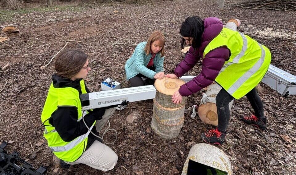 Investigadoras trabajando en el campo con tecnología para el sector forestal