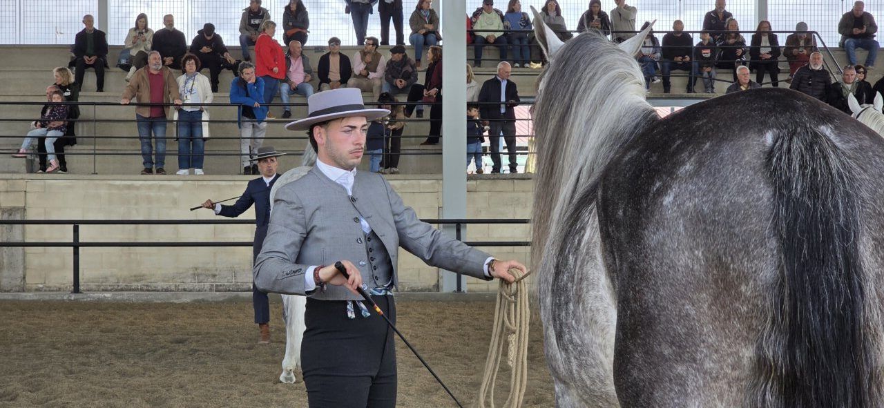Concurso morfológico de caballos en la Feria del Caballo de Camponaraya