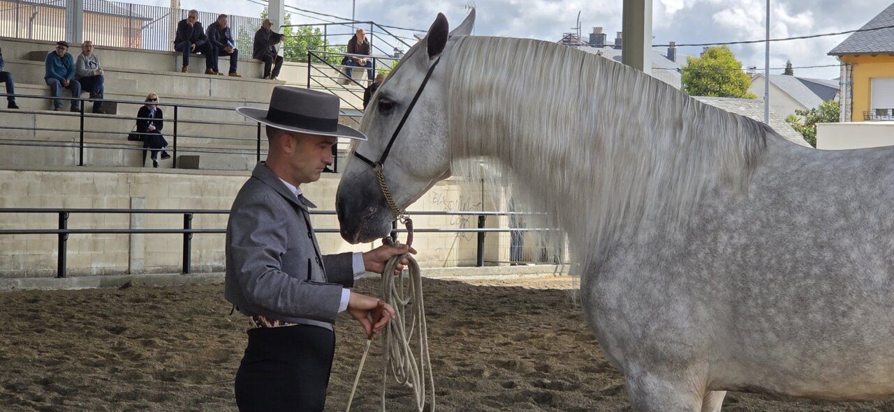 Hombre con sombrero sosteniendo una cuerda junto a un caballo gris