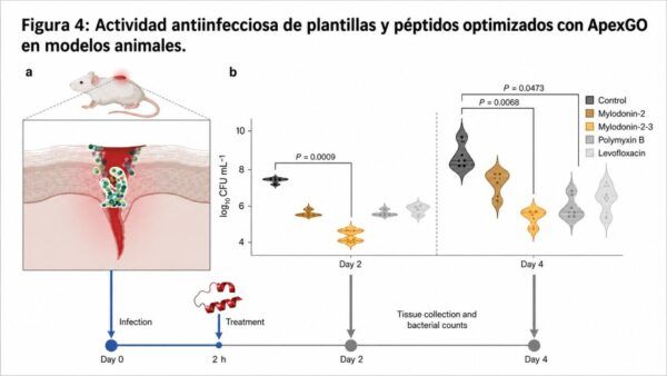 Gráfica sobre la actividad de péptidos optimizados con ApexGO en modelos animales