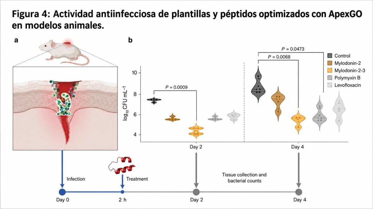 Gráfica sobre la actividad de péptidos optimizados con ApexGO en modelos animales