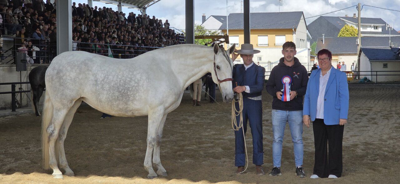 Joven con caballo en competencia de equitación con público al fondo