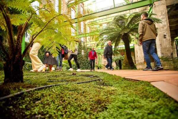 Personas caminando entre plantas en un evento del Día Internacional de la Luz