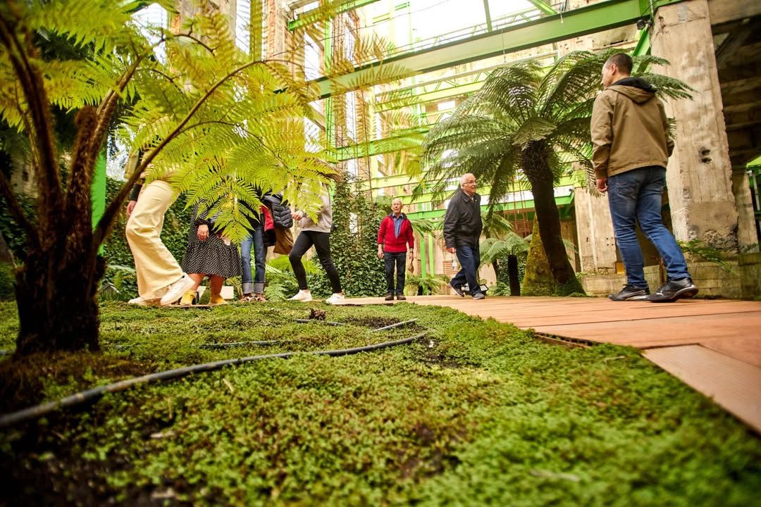 Personas caminando entre plantas en un evento del Día Internacional de la Luz