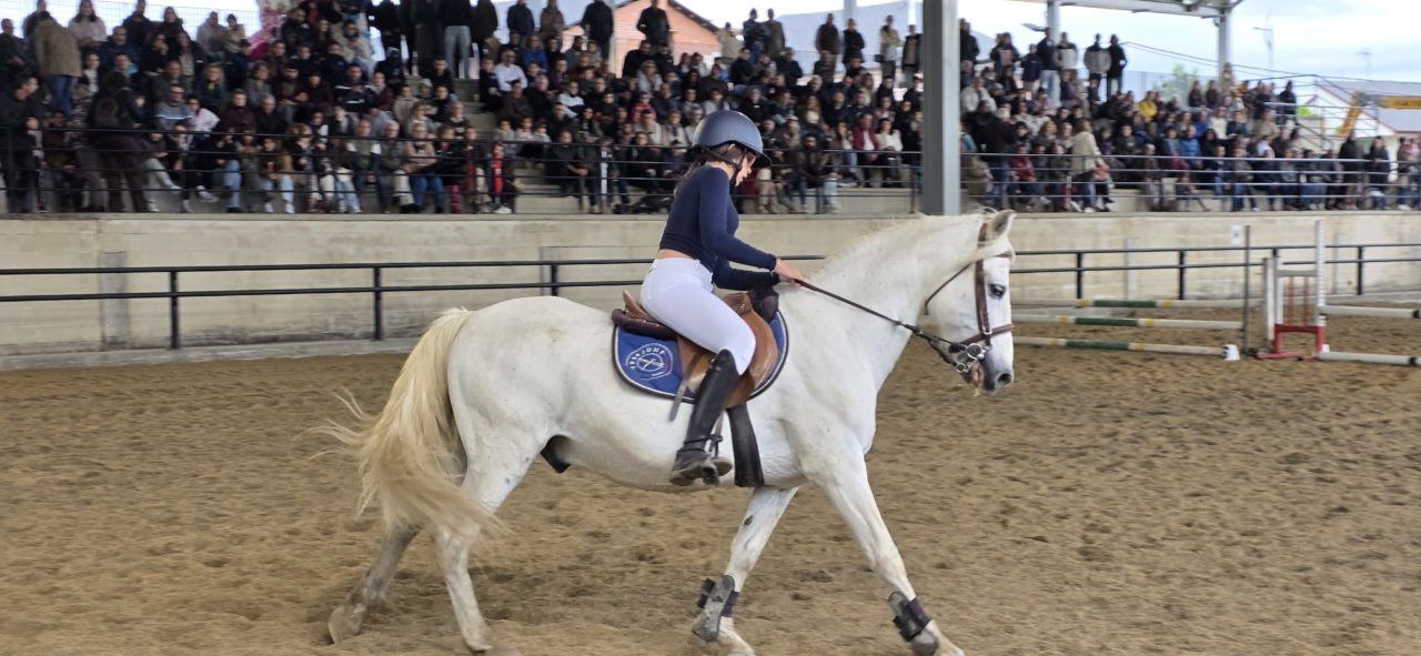 Jinete montando un caballo blanco durante exhibición de saltos en Camponaraya