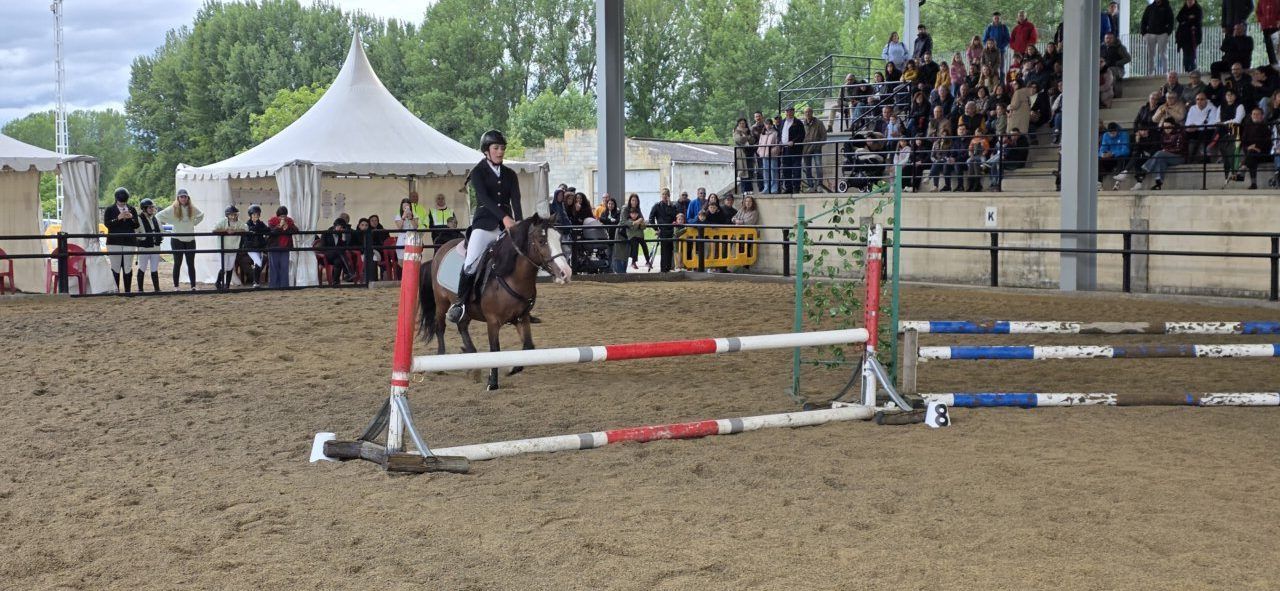 Jinete realizando un salto en la exhibición de la Escuela de Hípica Equus
