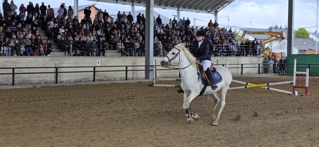 Jinete en exhibición de saltos con un caballo blanco en Camponaraya