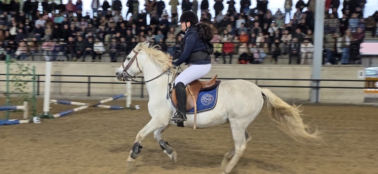 Jinete realizando un salto con un caballo en la exhibición ecuestre