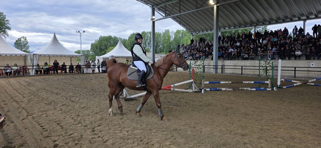 Jinete en exhibición de saltos en la Feria del Caballo de Camponaraya