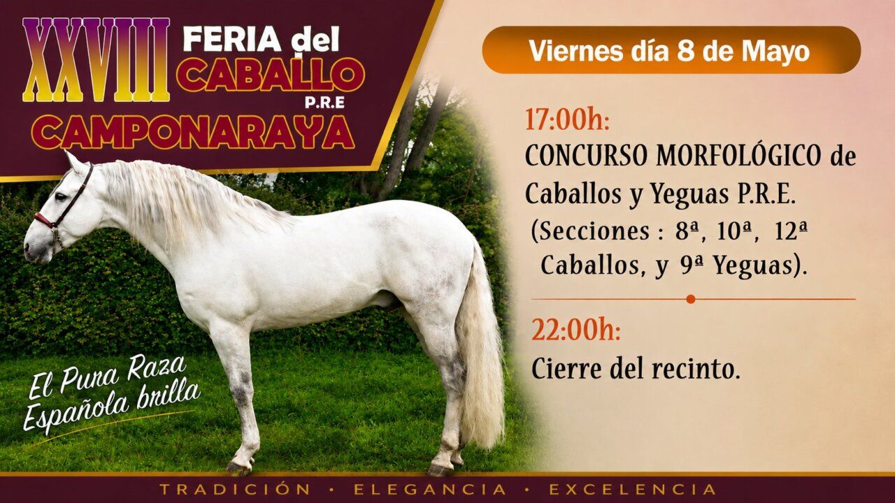 Cartel de la Feria del Caballo de Camponaraya con un caballo P.R.E.