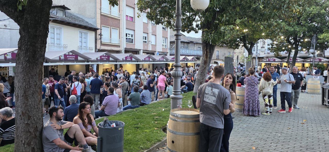 Multitud de personas disfrutando en la Feria del Vino DO Bierzo en Cacabelos