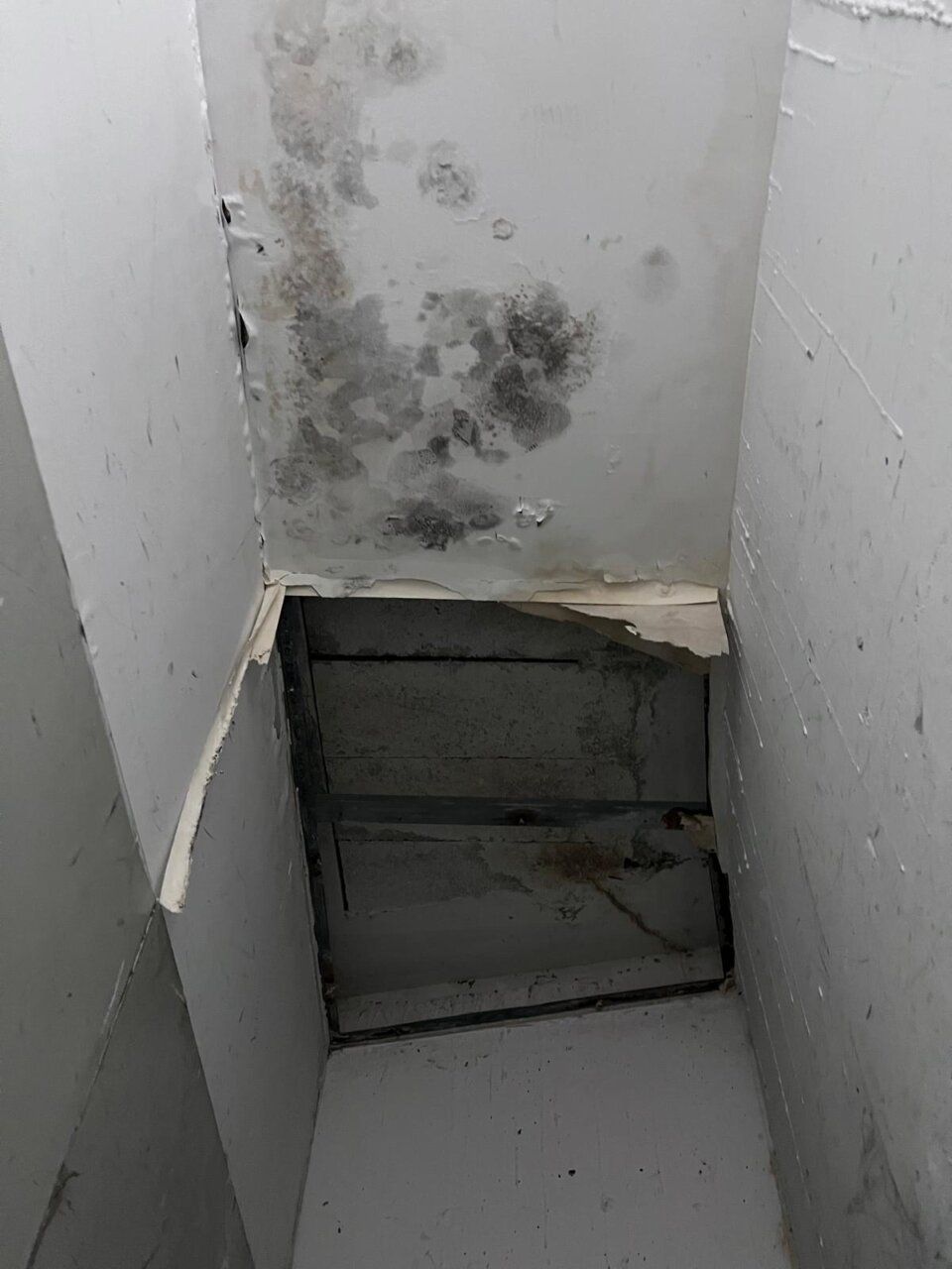 Techo con humedades y moho en una instalación del Banco de Alimentos