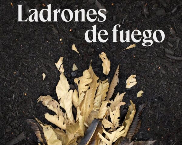 Póster de la película Ladrones de fuego con hojas secas
