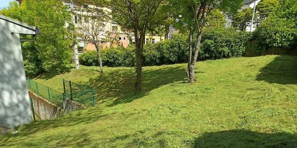 Área verde recién limpiada en Villablino con césped cortado