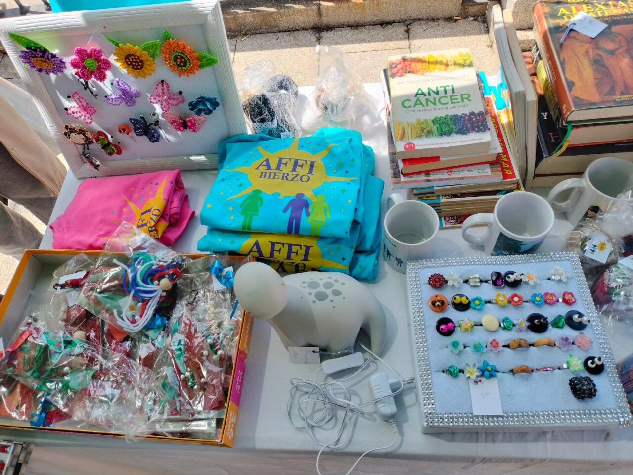 Mesa con productos de AFFI Bierzo y libros en un evento comunitario