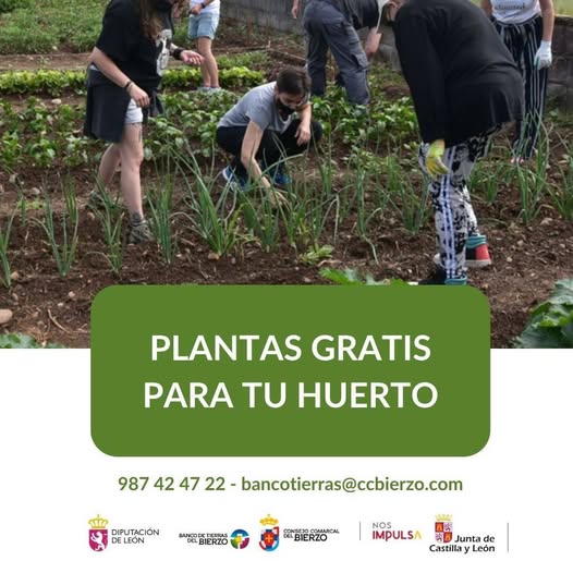 Personas trabajando en un huerto sembrando plantas gratis