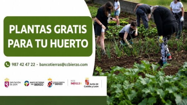 Campaña de reparto de plantones gratuitos en el Bierzo.
