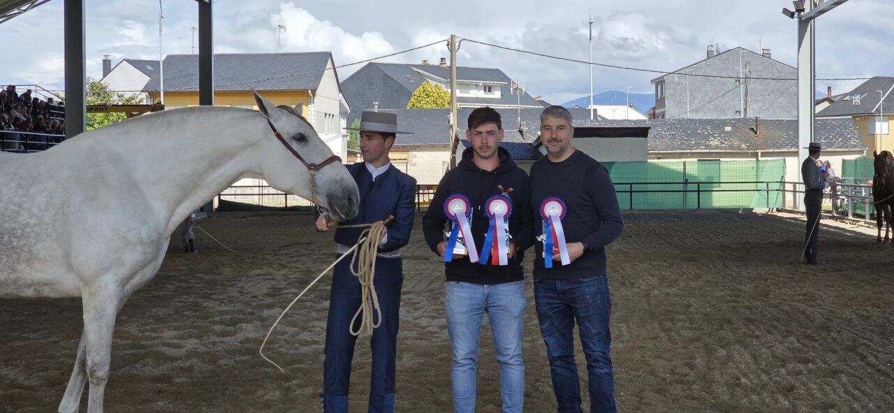 Competencia ecuestre con participantes y caballos en un evento