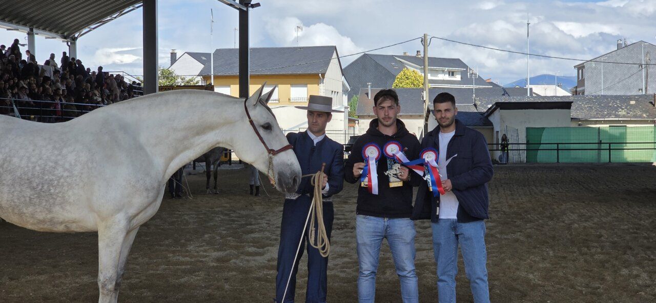 Competencia ecuestre con participantes y un caballo blanco
