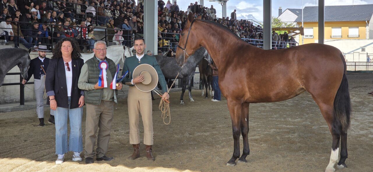 Entrega de premios en un evento ecuestre con un caballo y asistentes