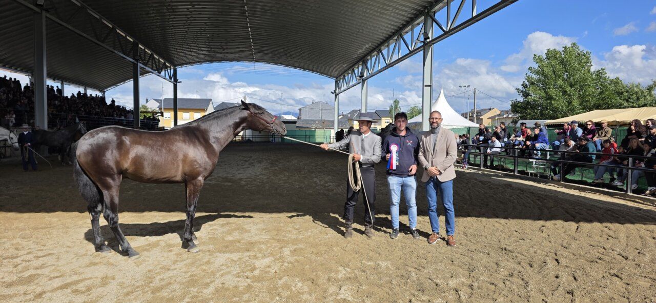 Competencia ecuestre con un caballo y participantes en el evento