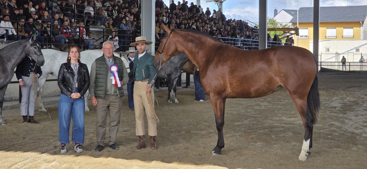 Participantes en un evento ecuestre con caballos y público