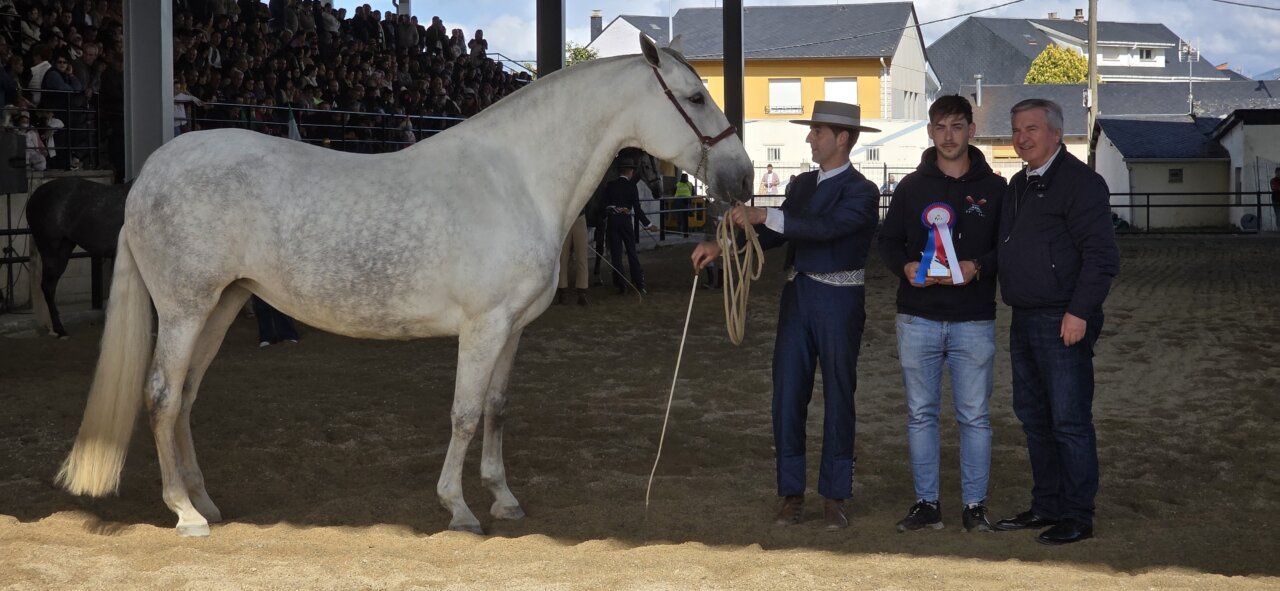 Competencia de caballos con un caballo blanco y participantes
