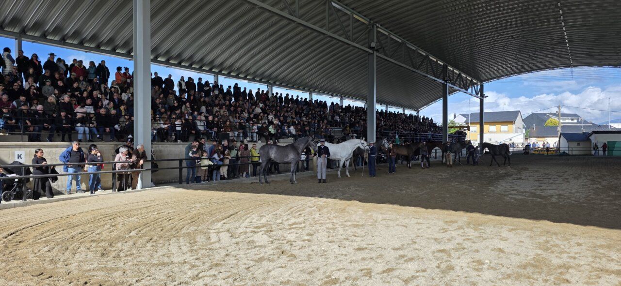 Multitud de personas en un evento ecuestre con caballos