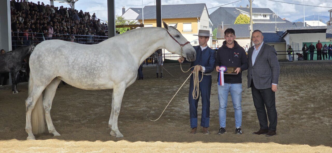Caballo blanco en un evento de premiación con asistentes en el fondo.